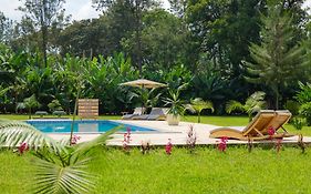 Tanzania Safari Lodge